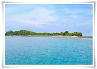 เกาะจระเข้